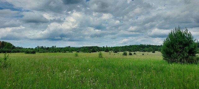 2402 E Sparling Rd, Kingsley, MI 49649