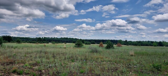 2402 E Sparling Rd, Kingsley, MI 49649