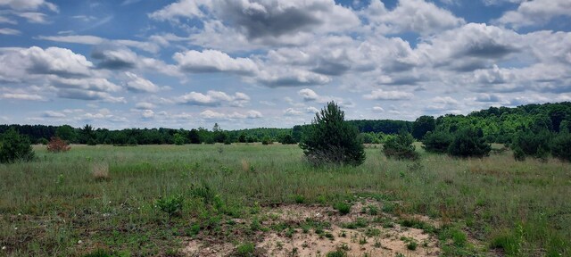 2402 E Sparling Rd, Kingsley, MI 49649