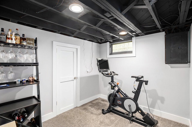 1018 S Stephenson Hwy, Royal Oak, MI 48067 - workout room featuring electric panel and carpet