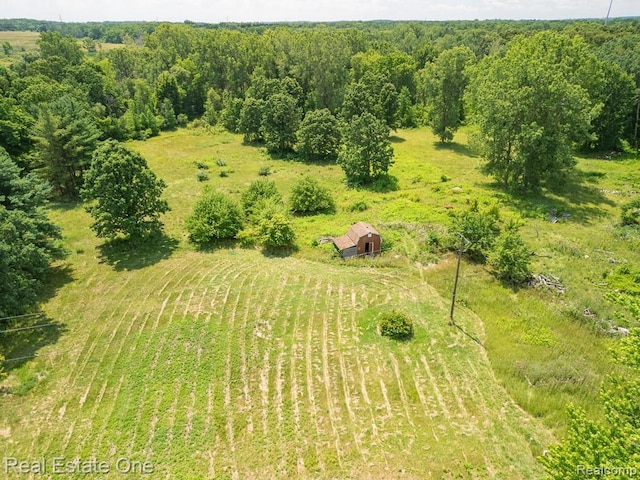 849 Stoney Creek Rd, Rochester, MI 48363 - photo 2