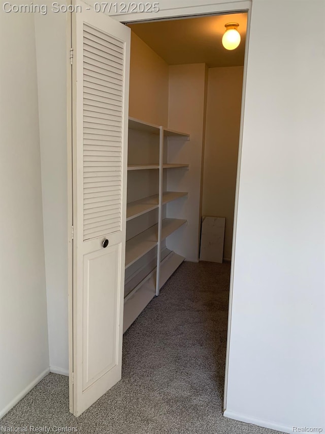 2245 S Walton Blvd Unit 58, Rochester Hills, MI 48309 - view of storage area