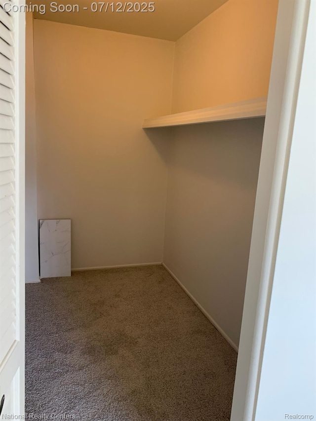 2245 S Walton Blvd Unit 58, Rochester Hills, MI 48309 - walk in closet featuring carpet