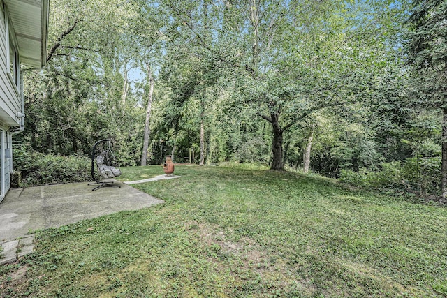 4649 Northview Ave NE, Grand Rapids, MI 49525 - view of green lawn
