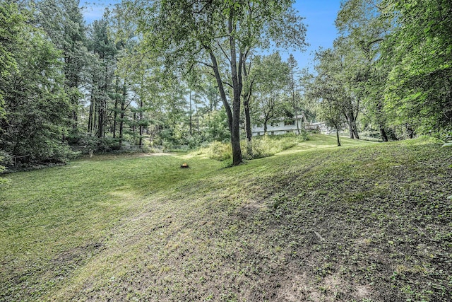 4649 Northview Ave NE, Grand Rapids, MI 49525 - view of green lawn