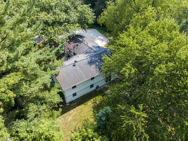 4649 Northview Ave NE, Grand Rapids, MI 49525 - view from above of property with a forest