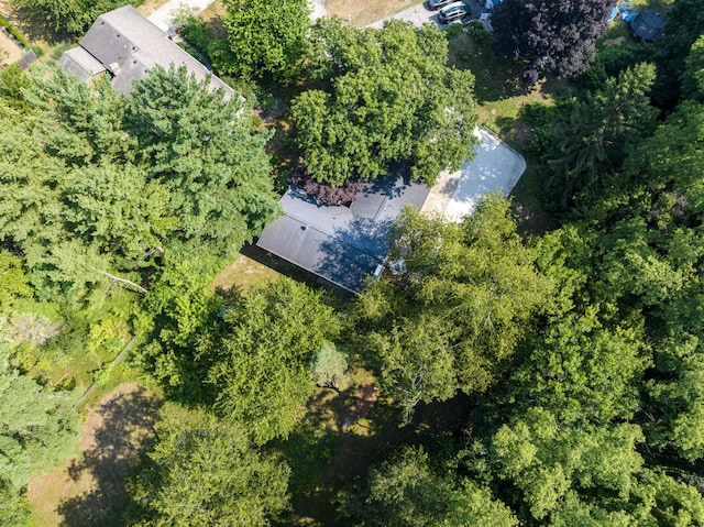 4649 Northview Ave NE, Grand Rapids, MI 49525 - aerial view of property and surrounding area