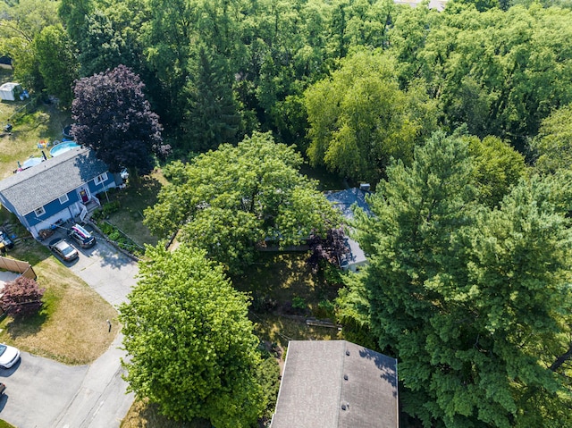 4649 Northview Ave NE, Grand Rapids, MI 49525 - bird's eye view of a forest