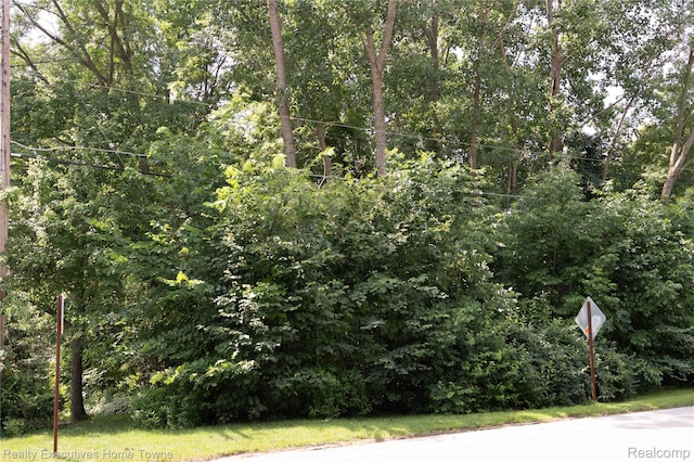 4363 N River Rd, Fort Gratiot, MI 48059 - photo 9