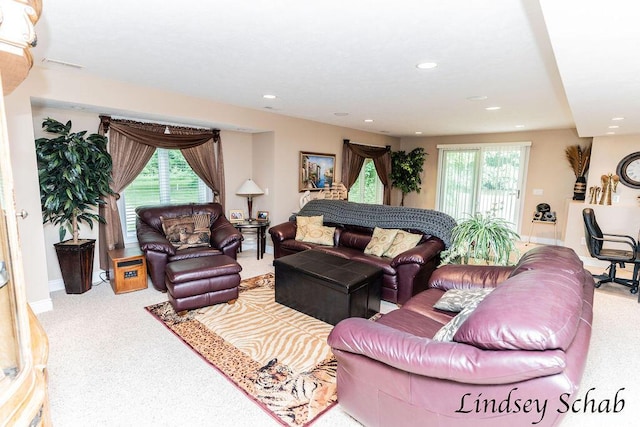 13025 Shaner Ave NE, Cedar Springs, MI 49319 - carpeted living area featuring healthy amount of natural light and recessed lighting