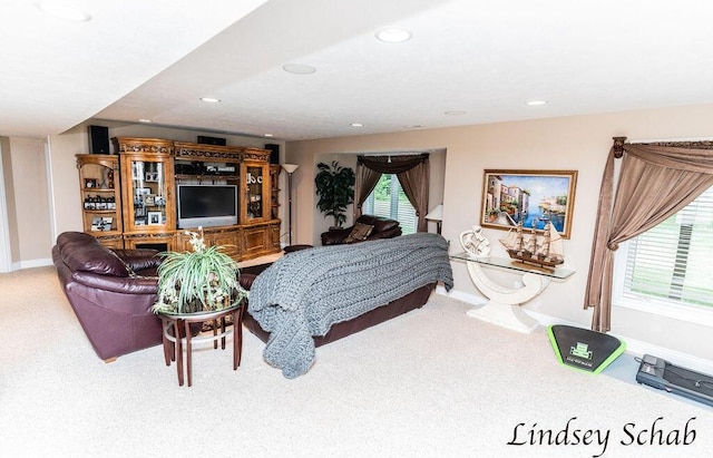 13025 Shaner Ave NE, Cedar Springs, MI 49319 - carpeted living room featuring recessed lighting and plenty of natural light
