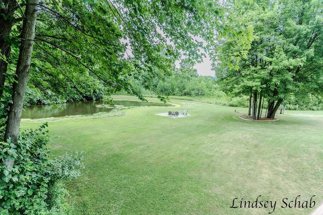 13025 Shaner Ave NE, Cedar Springs, MI 49319 - view of green lawn with a water view