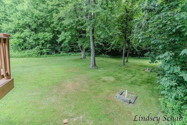 13025 Shaner Ave NE, Cedar Springs, MI 49319 - view of grassy yard