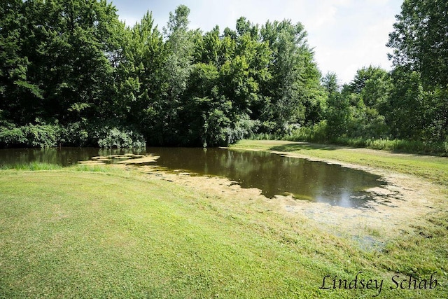 13025 Shaner Ave NE, Cedar Springs, MI 49319 - water view with a heavily wooded area