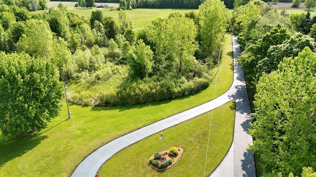 13025 Shaner Ave NE, Cedar Springs, MI 49319 - aerial view