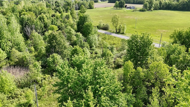 13025 Shaner Ave NE, Cedar Springs, MI 49319 - aerial view of sparsely populated area