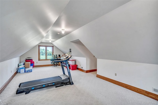 6728 Bowers Rd, Imlay City, MI 48444 - exercise area with carpet floors and lofted ceiling