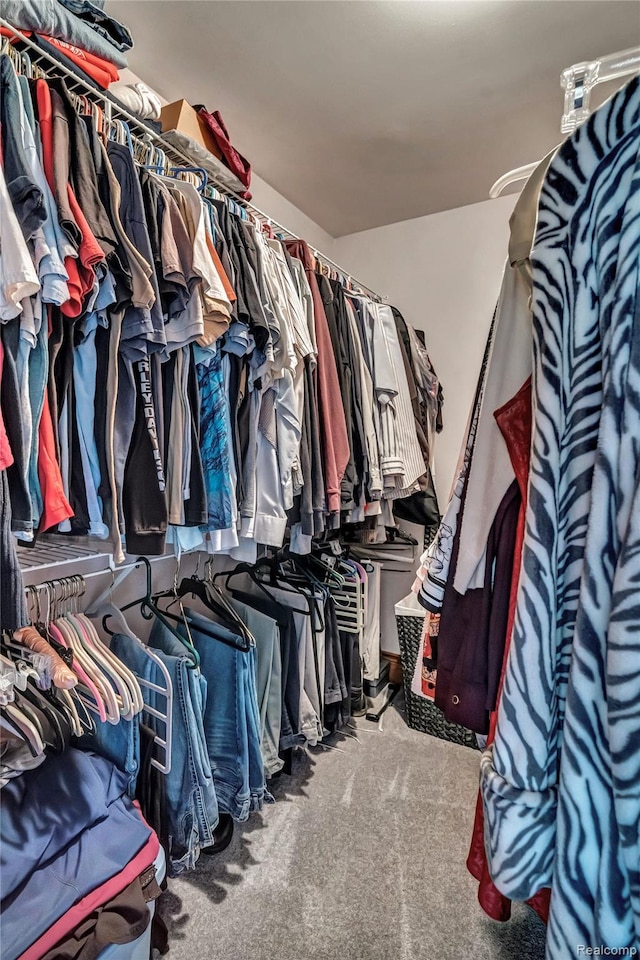 6728 Bowers Rd, Imlay City, MI 48444 - walk in closet with carpet floors