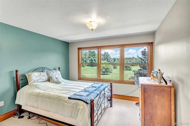 6728 Bowers Rd, Imlay City, MI 48444 - bedroom with baseboards and carpet flooring
