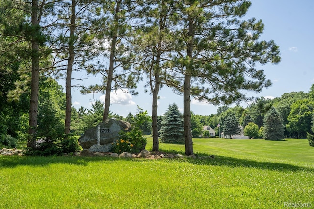 6728 Bowers Rd, Imlay City, MI 48444 - view of grassy yard