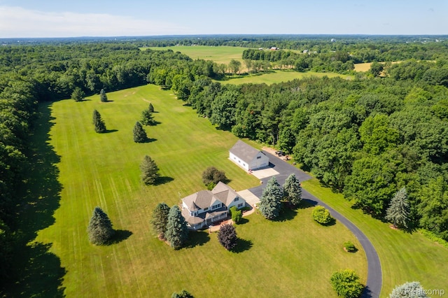 6728 Bowers Rd, Imlay City, MI 48444 - bird's eye view of a forest