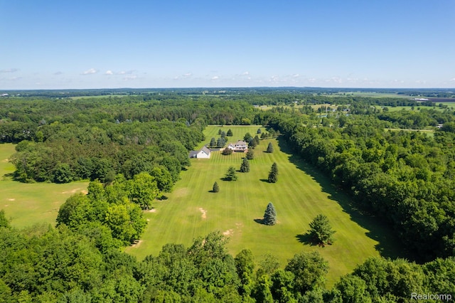 6728 Bowers Rd, Imlay City, MI 48444 - bird's eye view of a forest