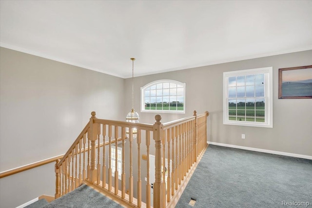 1647 Higley Rd, Lapeer, MI 48446 - stairway with crown molding and carpet