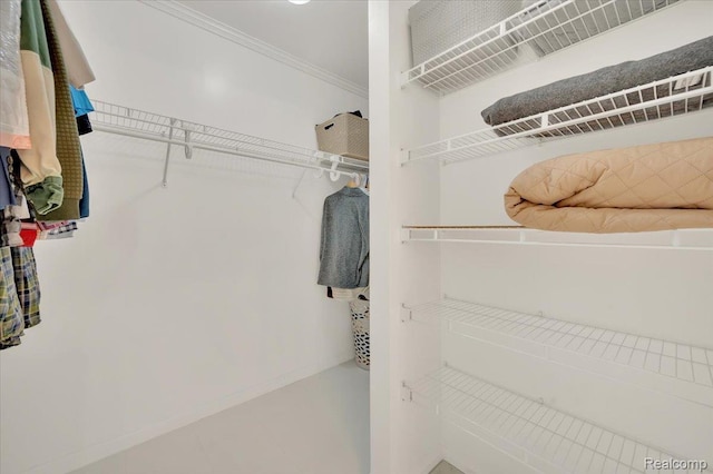 1647 Higley Rd, Lapeer, MI 48446 - view of walk in closet