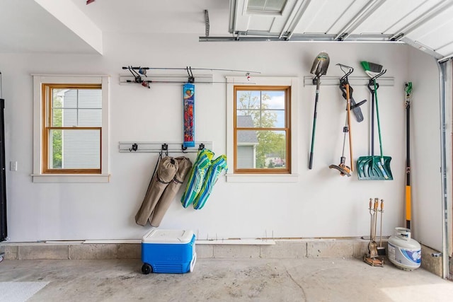 7229 Lakeview Ave, South Haven, MI 49090 - view of garage