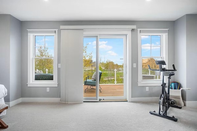 7229 Lakeview Ave, South Haven, MI 49090 - workout area with healthy amount of natural light and carpet flooring