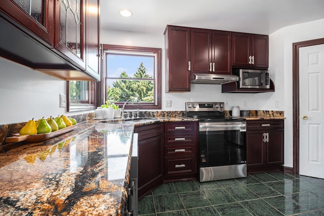 8411 Reese Ln, Ann Arbor, MI 48103 - kitchen featuring stainless steel appliances, under cabinet range hood, dark brown cabinets, dark stone counters, and glass insert cabinets