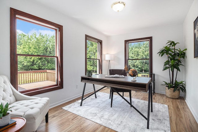 8411 Reese Ln, Ann Arbor, MI 48103 - office area with plenty of natural light and light wood-style floors