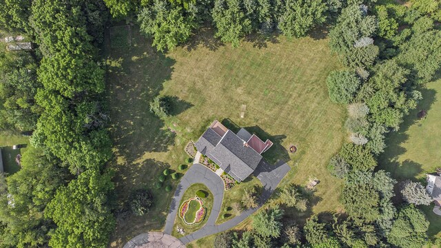 8411 Reese Ln, Ann Arbor, MI 48103 - aerial view of property's location