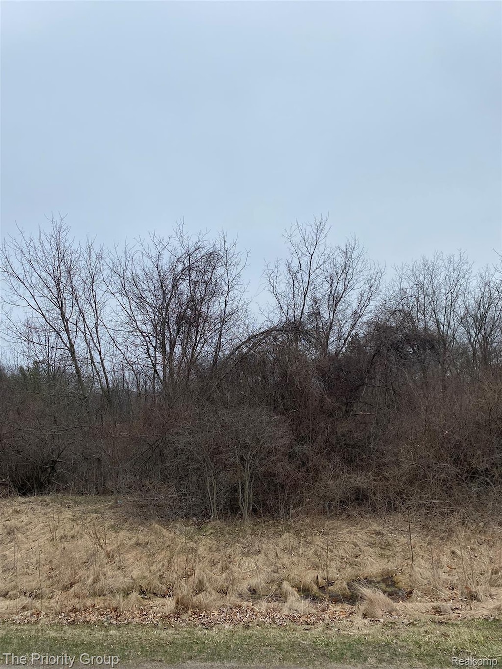160 Great Pines Dr, Oxford, MI 48371 - photo 1