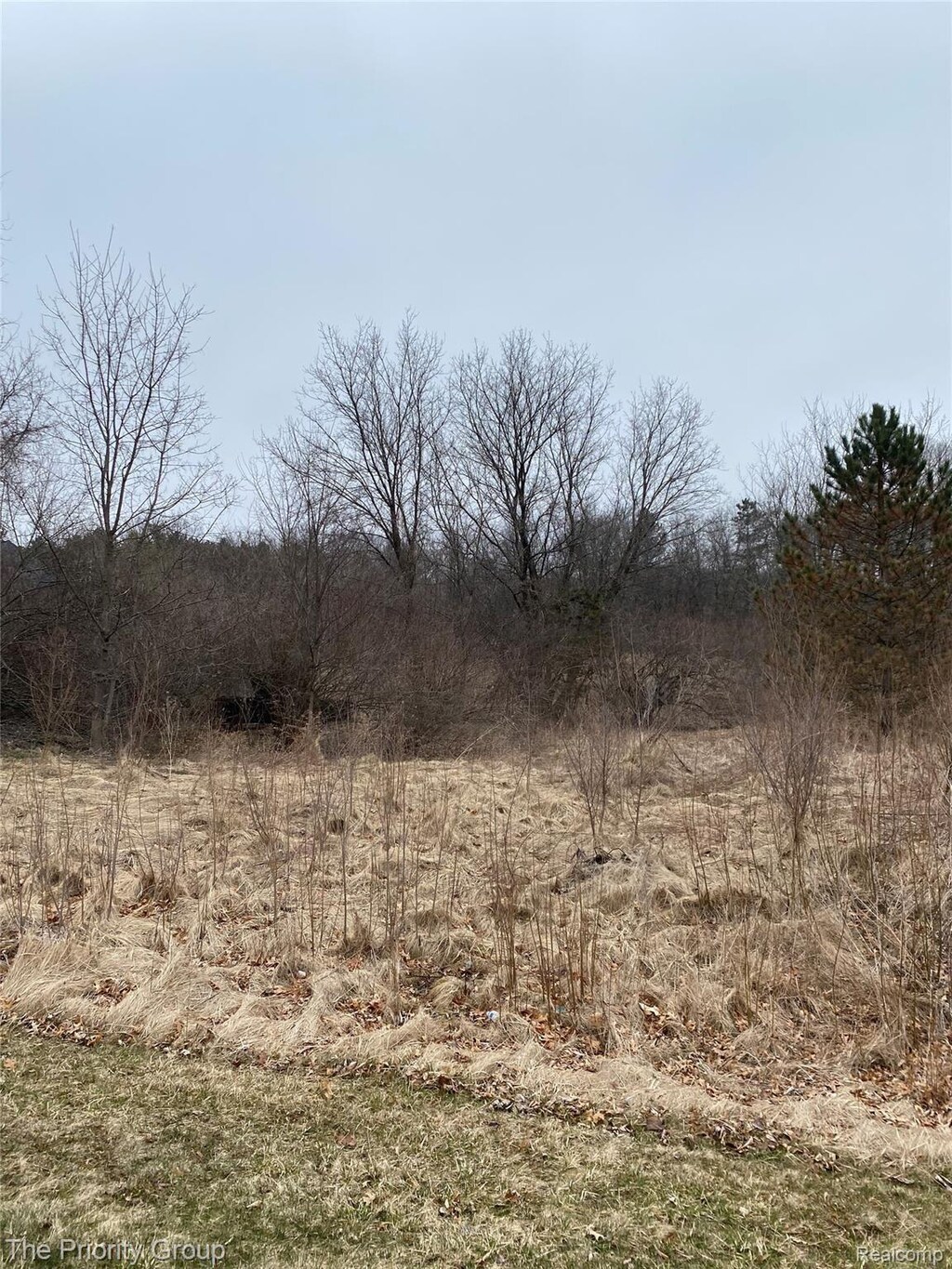 160 Great Pines Dr, Oxford, MI 48371 - photo 2