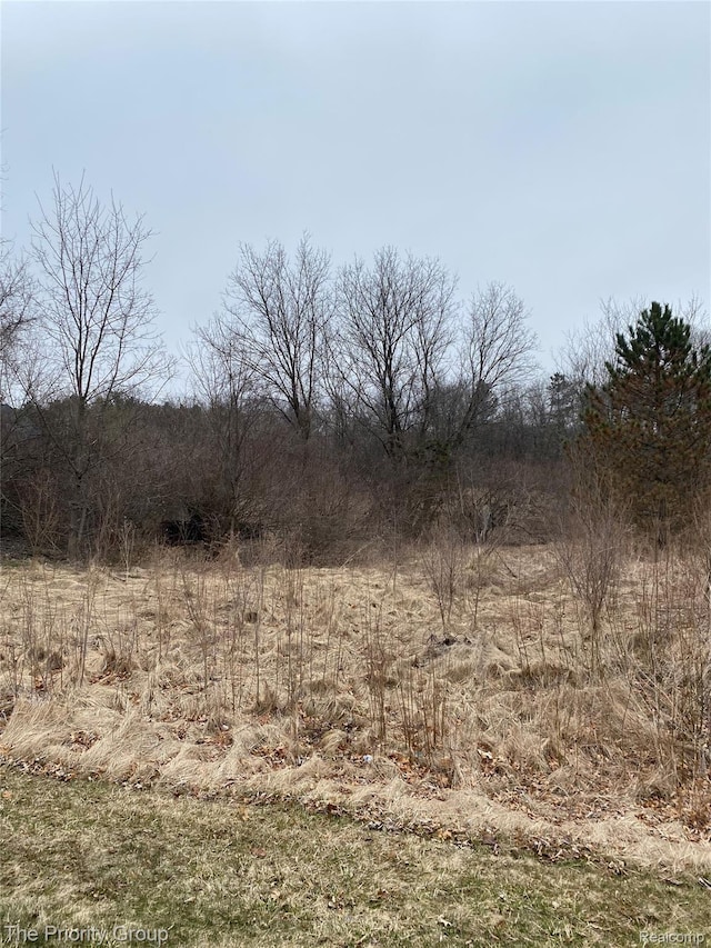160 Great Pines Dr, Oxford, MI 48371 - photo 2
