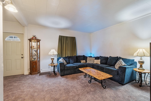 210 S Forbes St, Jackson, MI 49203 - living room with carpet and crown molding