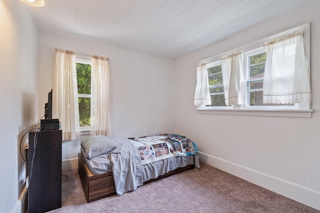 210 S Forbes St, Jackson, MI 49203 - carpeted bedroom featuring multiple windows