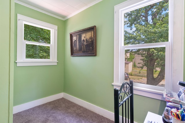 210 S Forbes St, Jackson, MI 49203 - interior space with carpet floors and crown molding