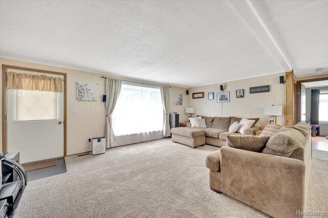 6516 Weyer Rd, Imlay City, MI 48444 - carpeted living room featuring healthy amount of natural light and a textured ceiling