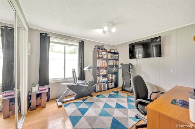 6516 Weyer Rd, Imlay City, MI 48444 - home office with light wood-style floors and a textured ceiling