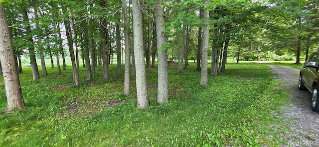 19270 W Brant Rd, Brant, MI 48614 - view of yard