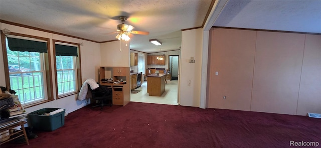 19270 W Brant Rd, Brant, MI 48614 - office area featuring carpet flooring, vaulted ceiling, ceiling fan, crown molding, and a textured ceiling
