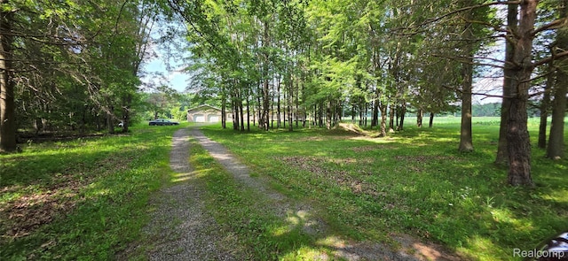 19270 W Brant Rd, Brant, MI 48614 - view of dirt / gravel driveway