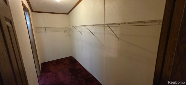19270 W Brant Rd, Brant, MI 48614 - walk in closet with dark carpet