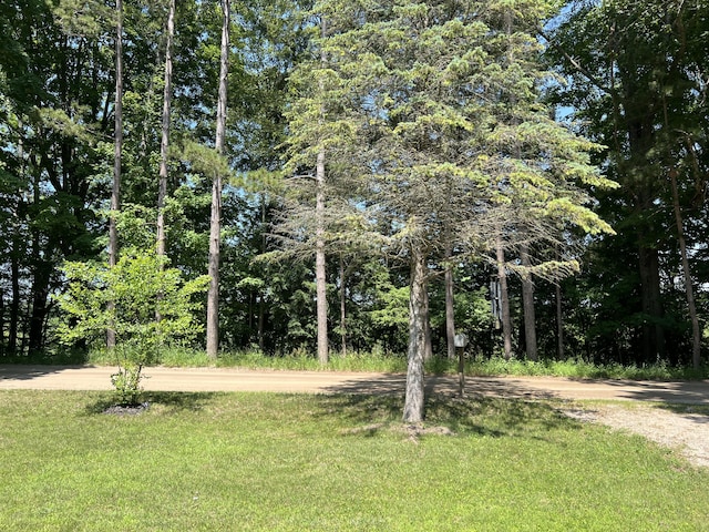 2564 Bialik Rd, Manistee, MI 49660 - view of grassy yard