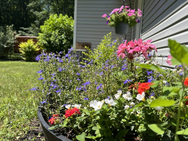 2564 Bialik Rd, Manistee, MI 49660 - view of yard