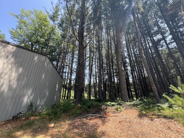 2564 Bialik Rd, Manistee, MI 49660 - view of yard