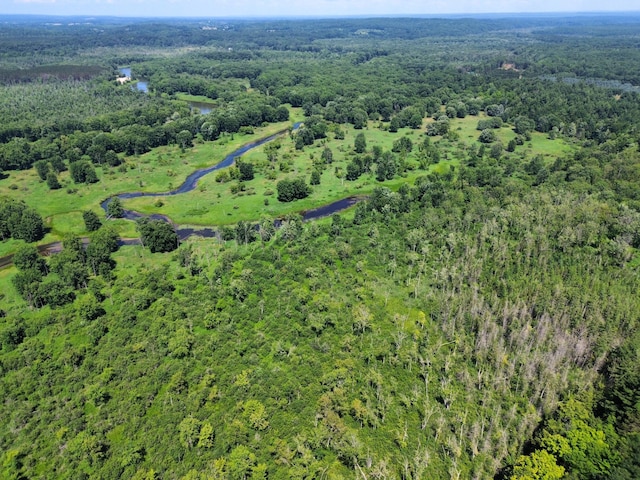 2564 Bialik Rd, Manistee, MI 49660 - view of property location with a heavily wooded area