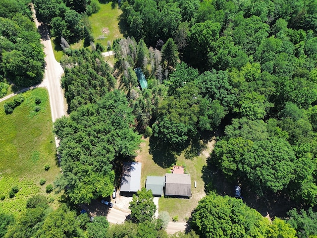 2564 Bialik Rd, Manistee, MI 49660 - aerial view of property and surrounding area